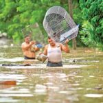 Tragedia en el corazón de México: lluvias letales azotan cuatro estados, deja un saldo de 32 víctimas fatales.