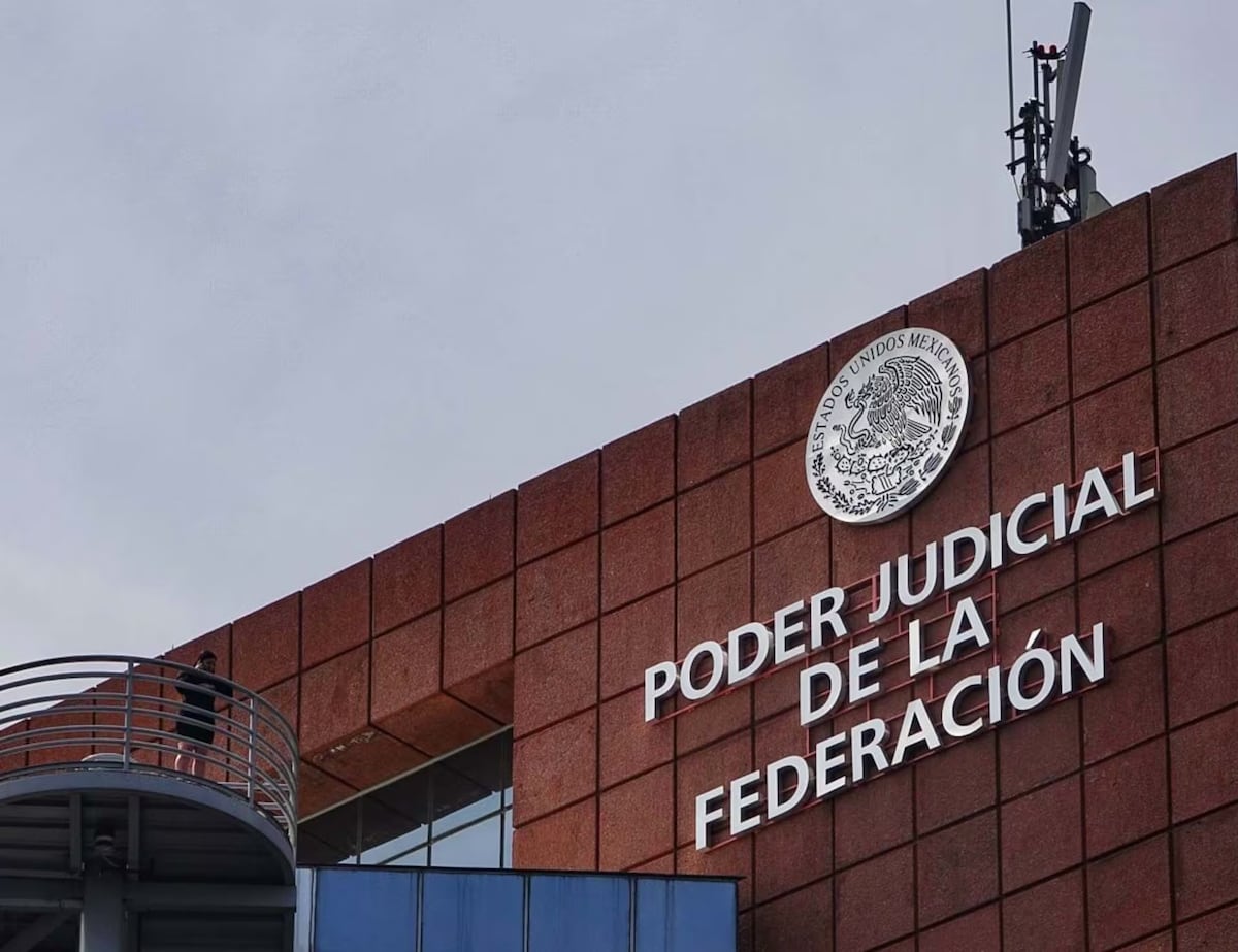 Licitación Ganadora en Juego: Empresarios Acusan a Nuevo PJF de Extorsión y Corrupción en el Ámbito Judicial