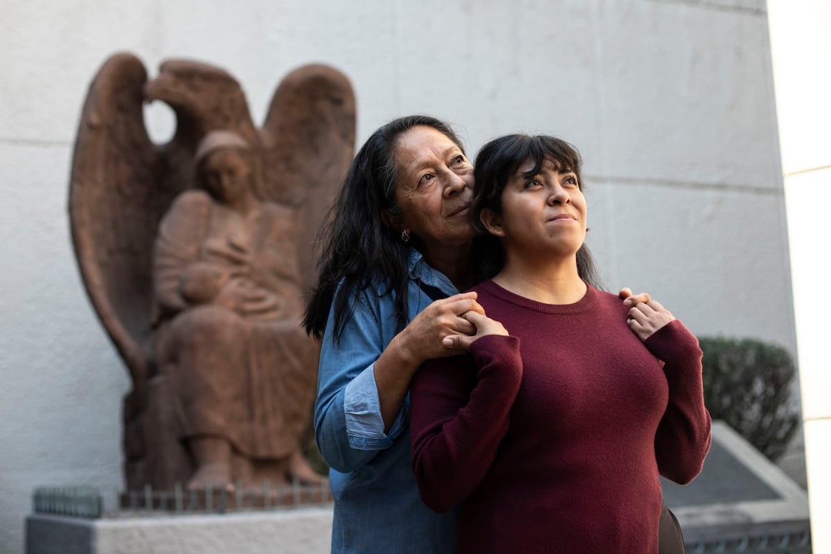 La Milagrosa Cirugía del Renal: Un Trasplante de Esperanza para La Vida de Una Mujer Afectada por Malformación Mülleriana