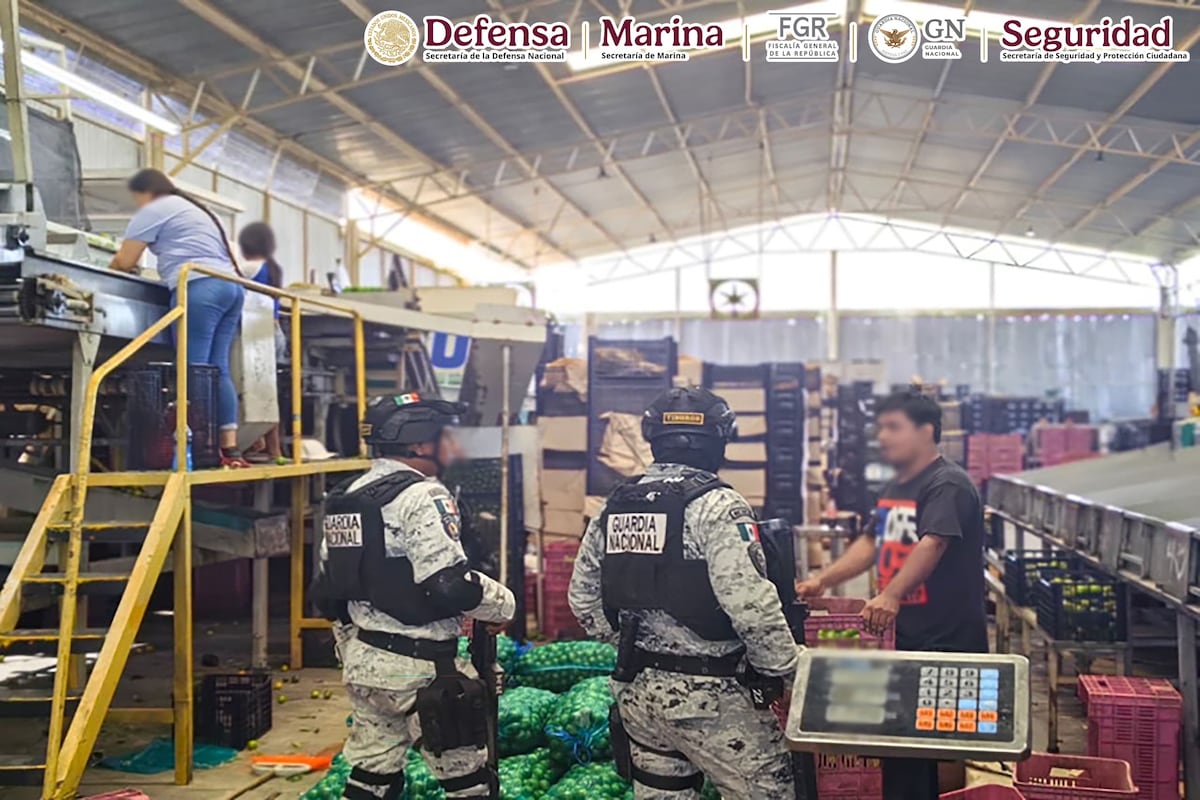 Operación Integral en Michoacán: Ejército y autoridades detienen a 17 personas relacionadas con el tráfico de armas y aseguran una importante cantidad de elementos peligrosos.