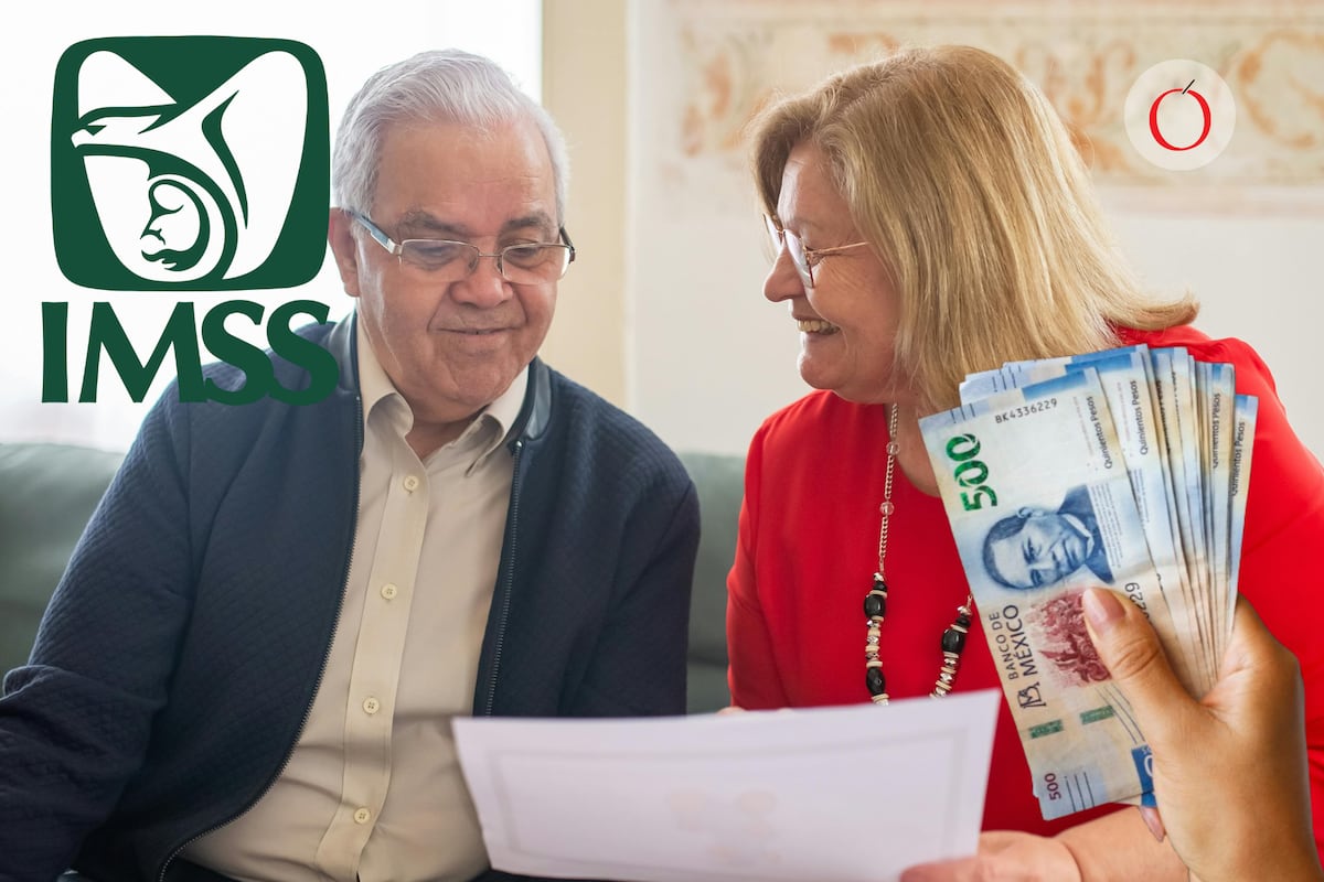 ¿Cómo Acceder a la Modalidad 40 del IMSS 2026? Conoce los Requisitos Clave y Registra tus Datos de manera Sencilla y Segura