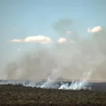 Amazonía Brasileña: El Fuego Ya No es Un Flagelo, ¿Es Esto El Fin de Una Época?