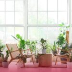 Estas plantas podrían estar saboteando la energía de tu casa, según el feng shui