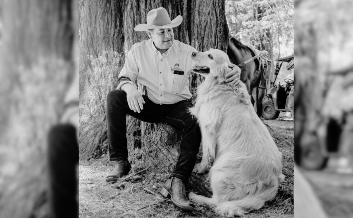 Muere Tommy, el perrito más famoso de Puebla