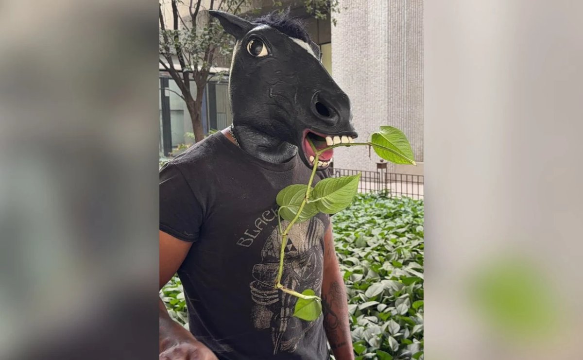 Surgen en México los 'therians'